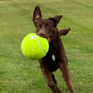 Meet your Posher, Nick